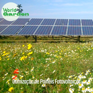 Worldgarden - Instaladores certificados de coberturas verdes e jardins verticais